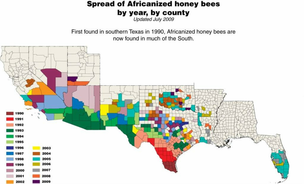 Africanized honey bee map